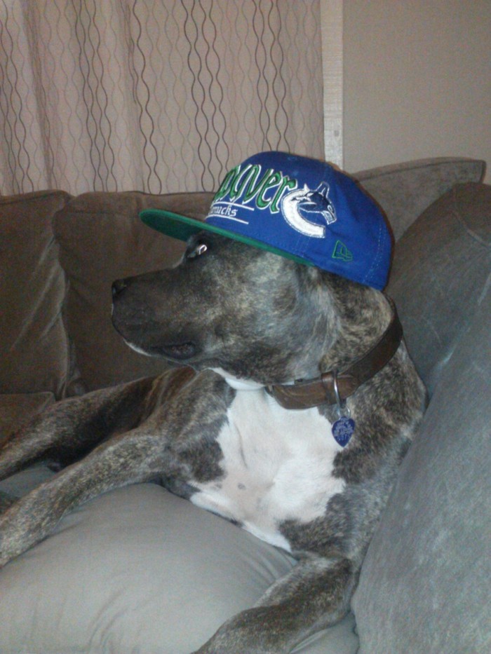 go canucks