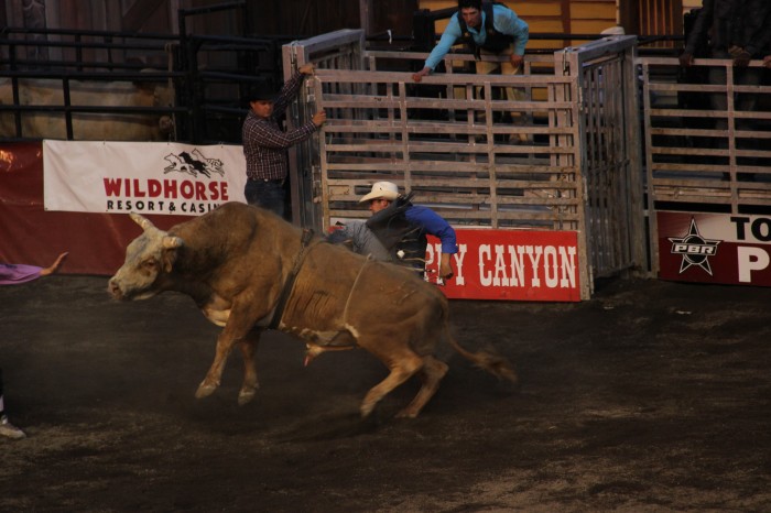 rodeo